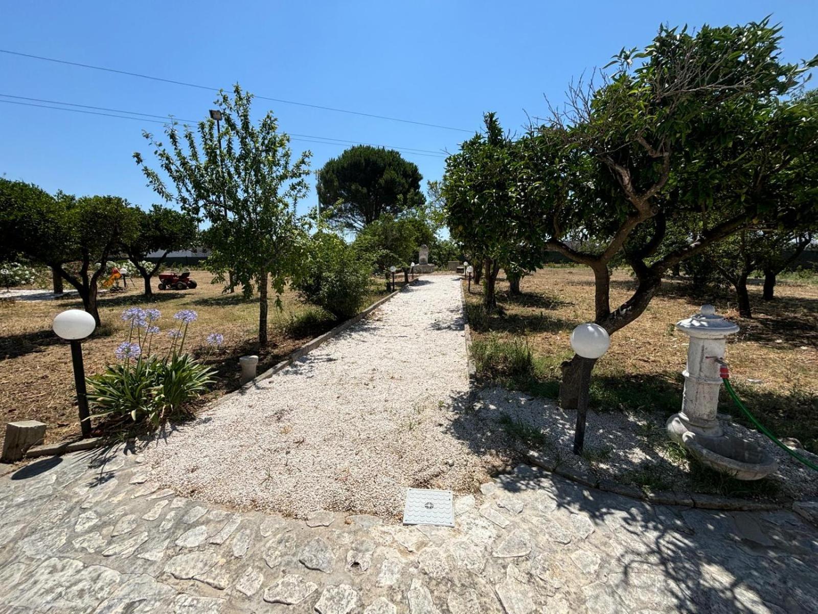 Tenuta Pizzi San Pietro Vernotico Exterior photo